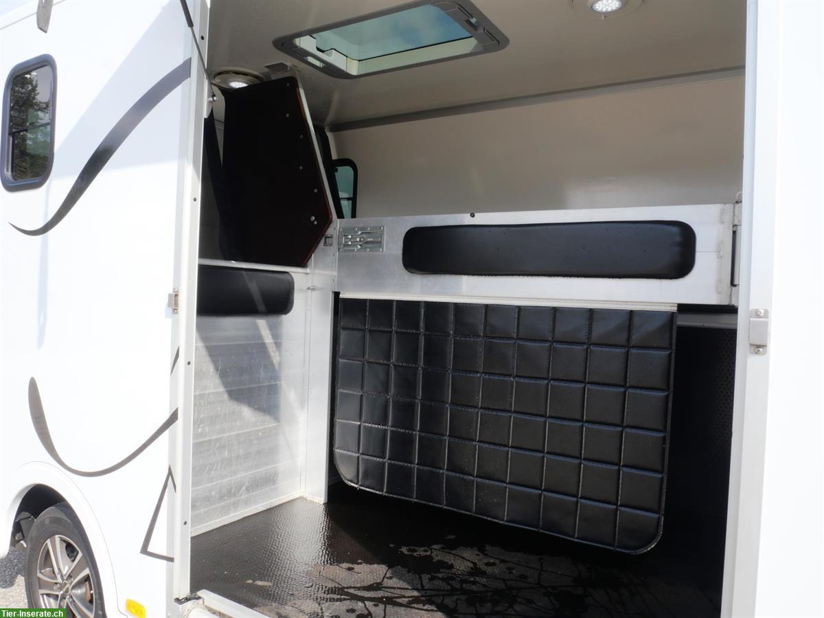 Bild 6: Pferdetransporter Selbstfahrer, RENAULT Master Dülmener