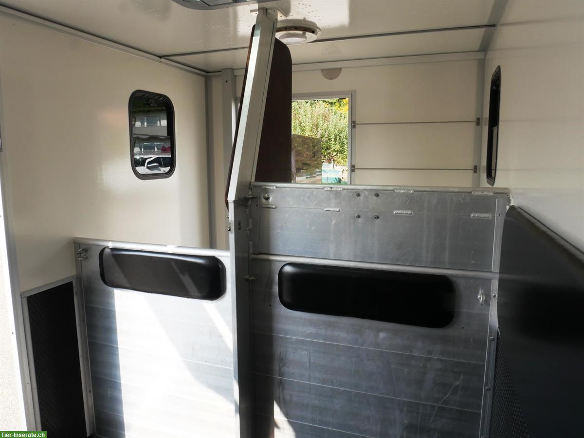 Bild 8: Pferdetransporter Selbstfahrer, RENAULT Master Dülmener