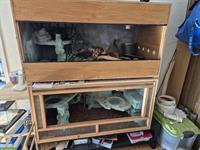 2 Holz-Terrarien inkl. Zubehör und Unterschrank