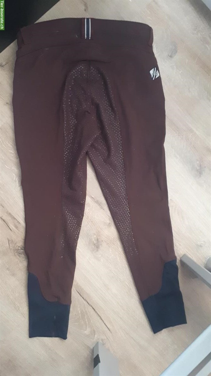 Reithosen in diversen Farben zu verkaufen