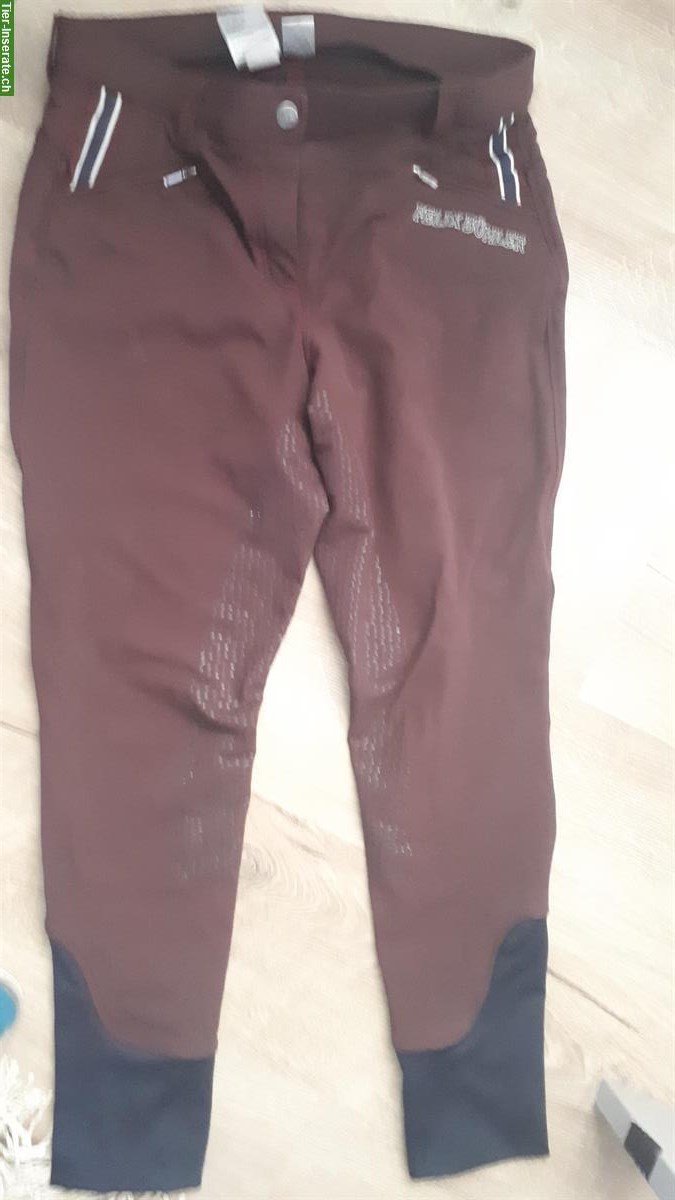 Bild 2: Reithosen in diversen Farben zu verkaufen