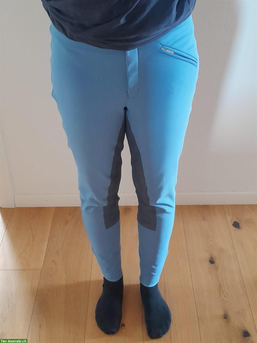 Bild 4: Reithosen in diversen Farben zu verkaufen