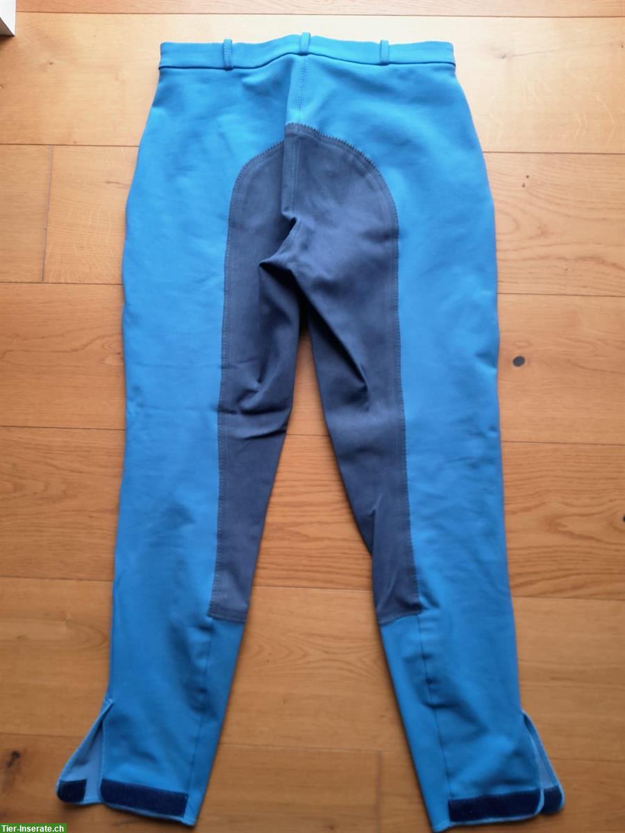 Bild 5: Reithosen in diversen Farben zu verkaufen