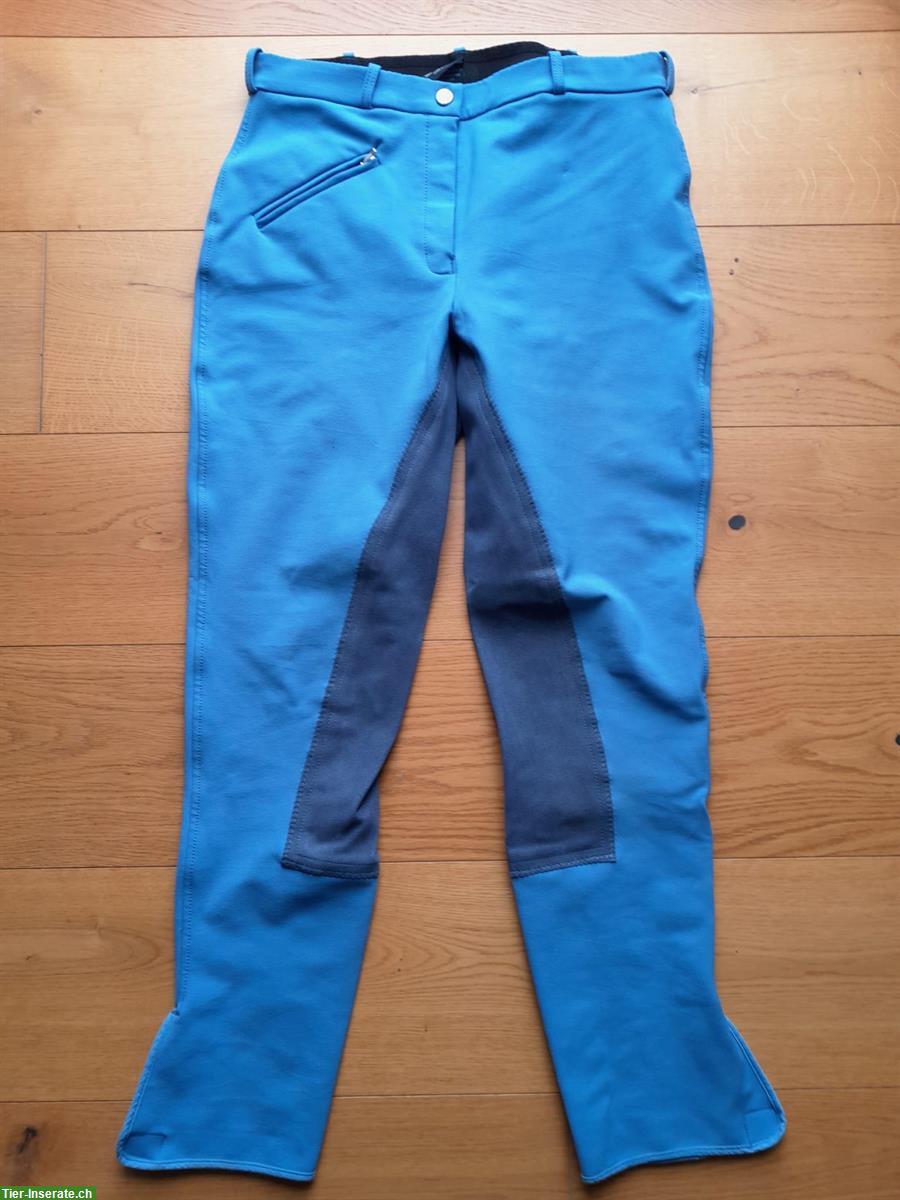 Bild 6: Reithosen in diversen Farben zu verkaufen