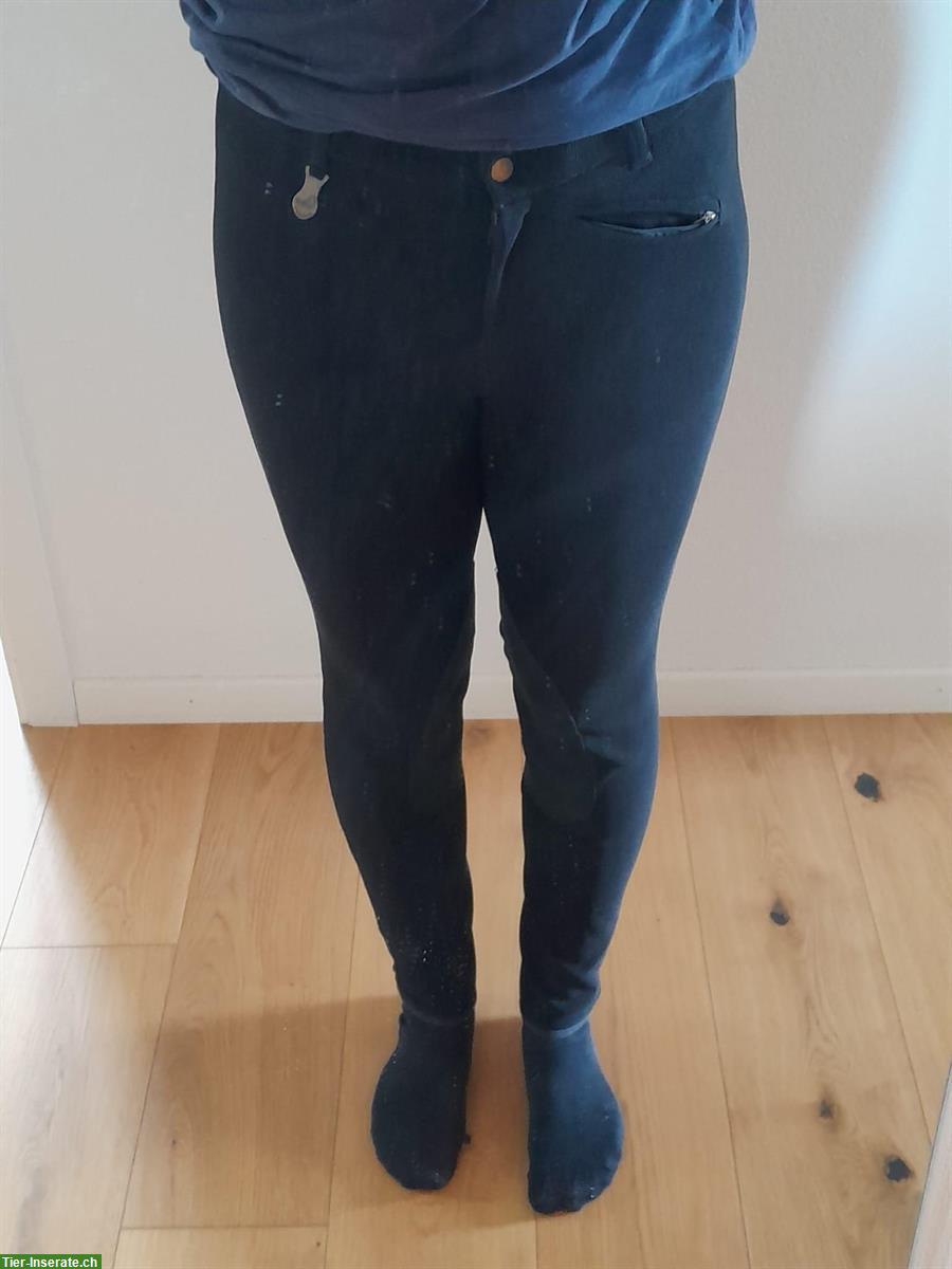Bild 7: Reithosen in diversen Farben zu verkaufen