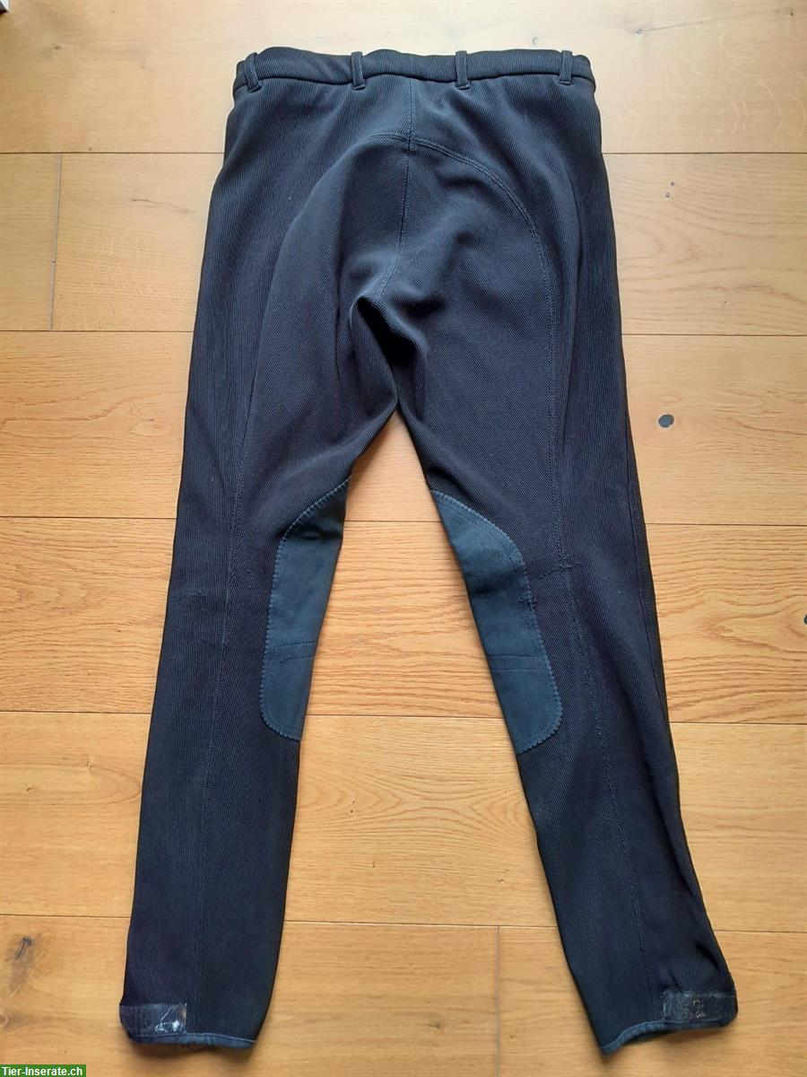 Bild 8: Reithosen in diversen Farben zu verkaufen