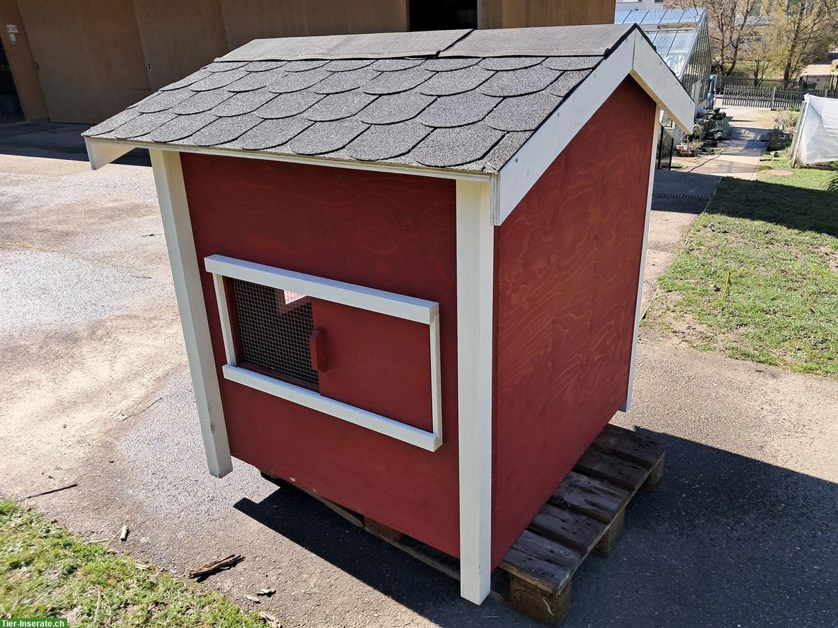 Bild 3: Entenhaus zu verkaufen, neuwertig