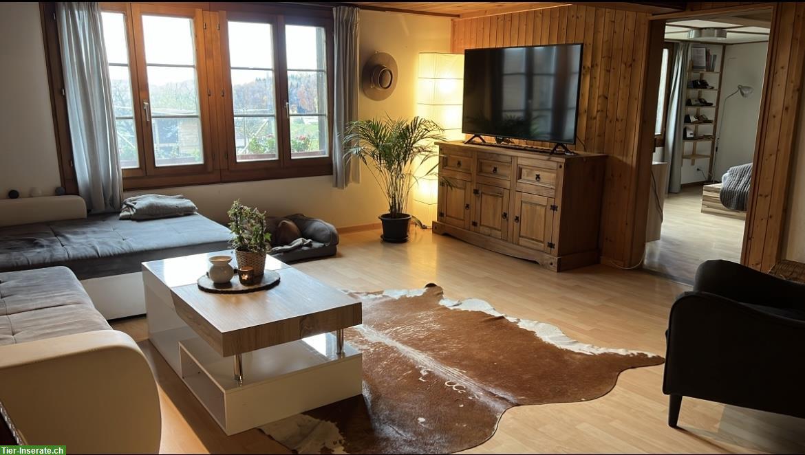 Bieten Bauernhaus zur Untermiete für Tierliebhaber & Naturmenschen