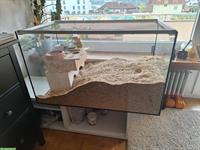Nager Glas-Terrarium zu verkaufen