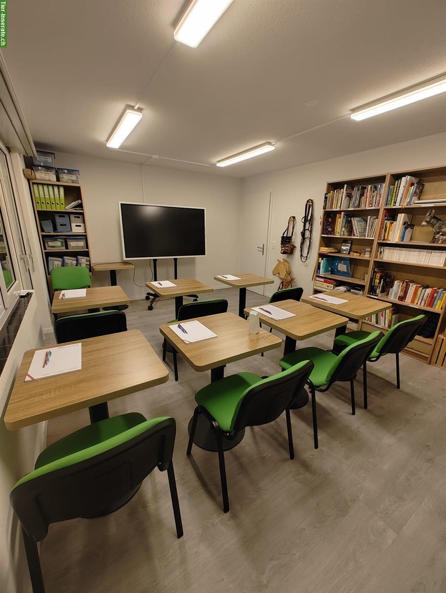 Bild 2: Tierschutz Job: Betreuung Esel & Administration, 80-100%