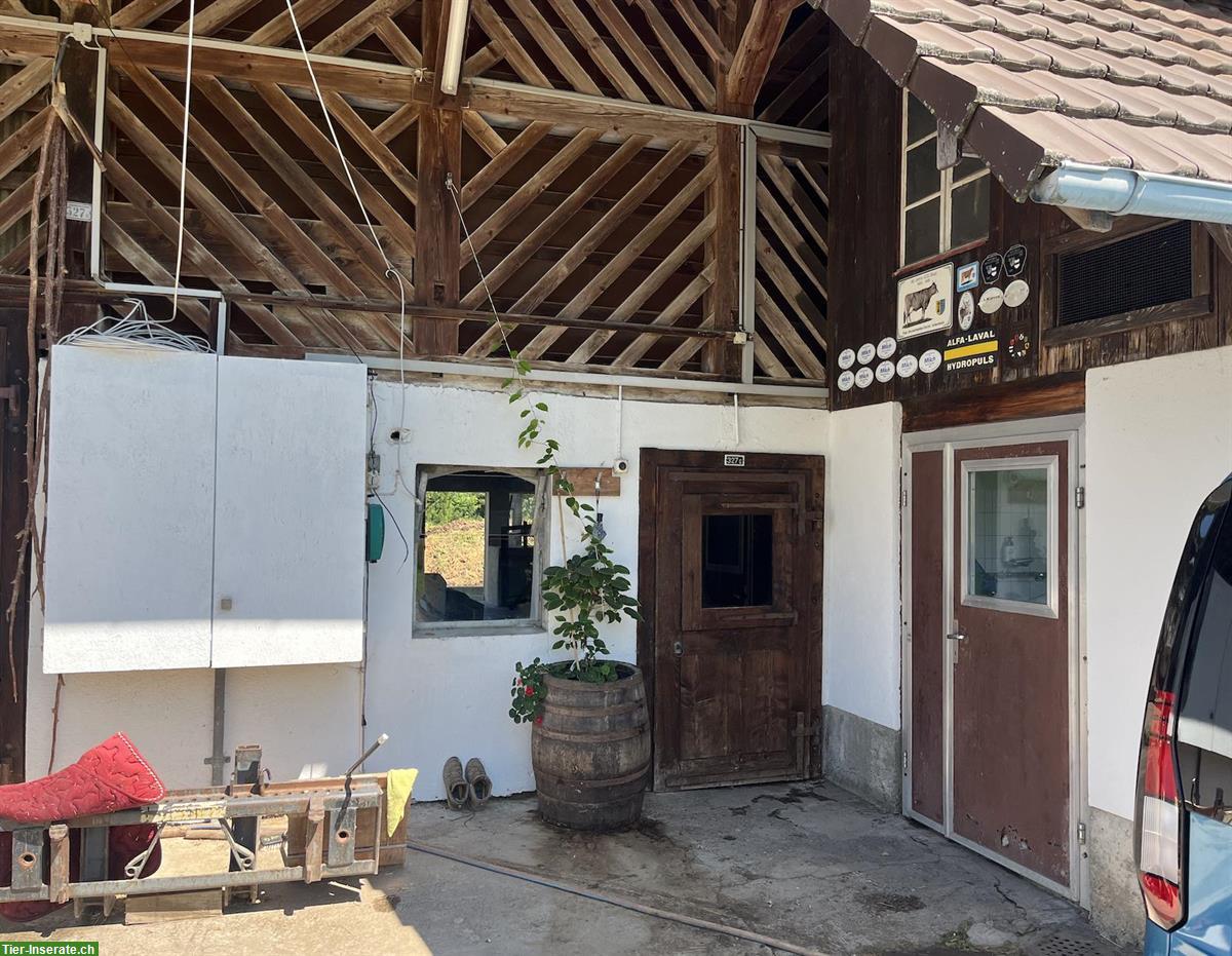 Bieten Stallplatz für Kleintiere auf Biohof