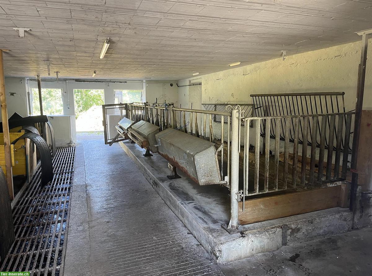 Bild 2: Bieten Stallplatz für Kleintiere auf Biohof