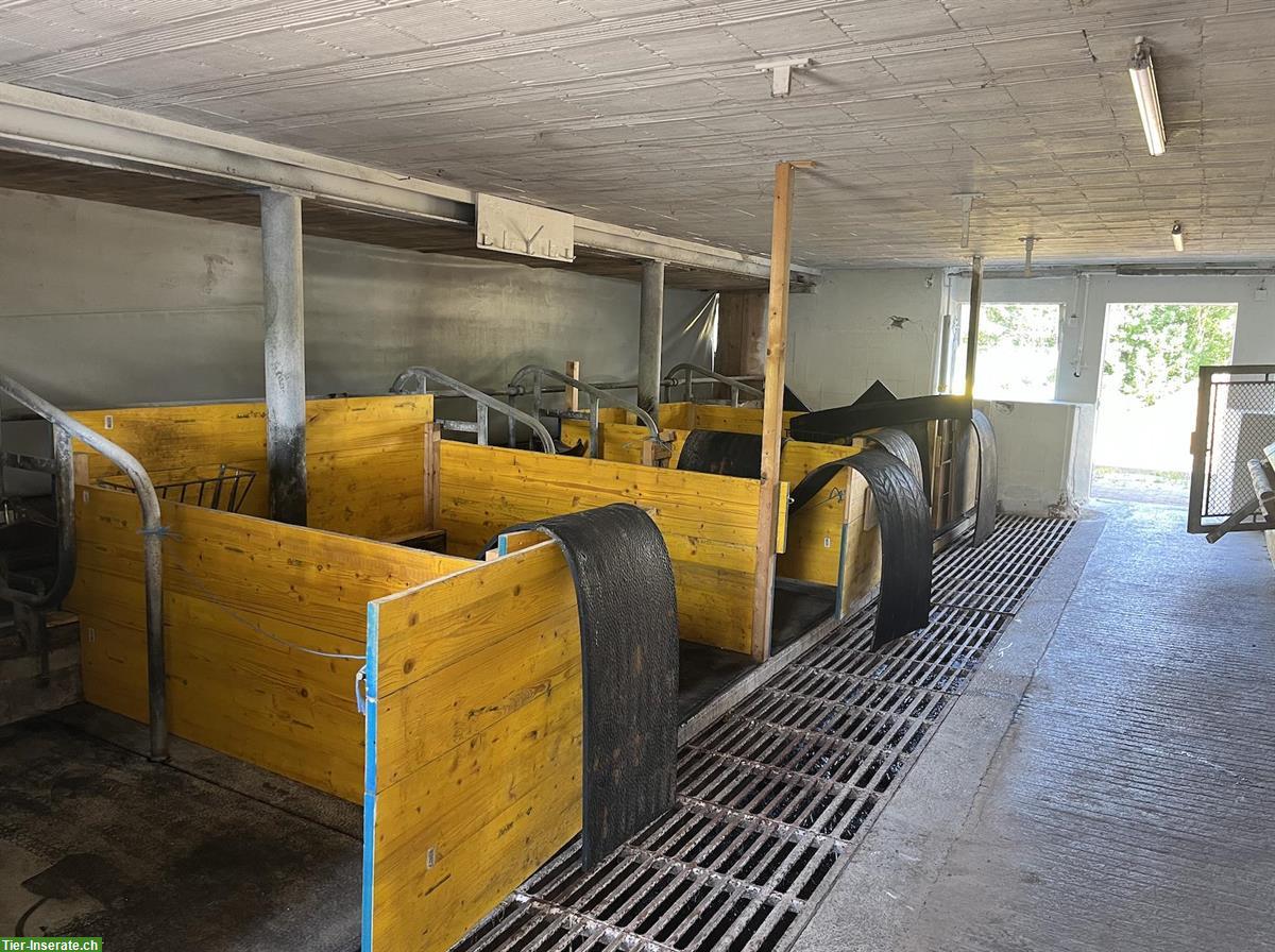 Bild 3: Bieten Stallplatz für Kleintiere auf Biohof