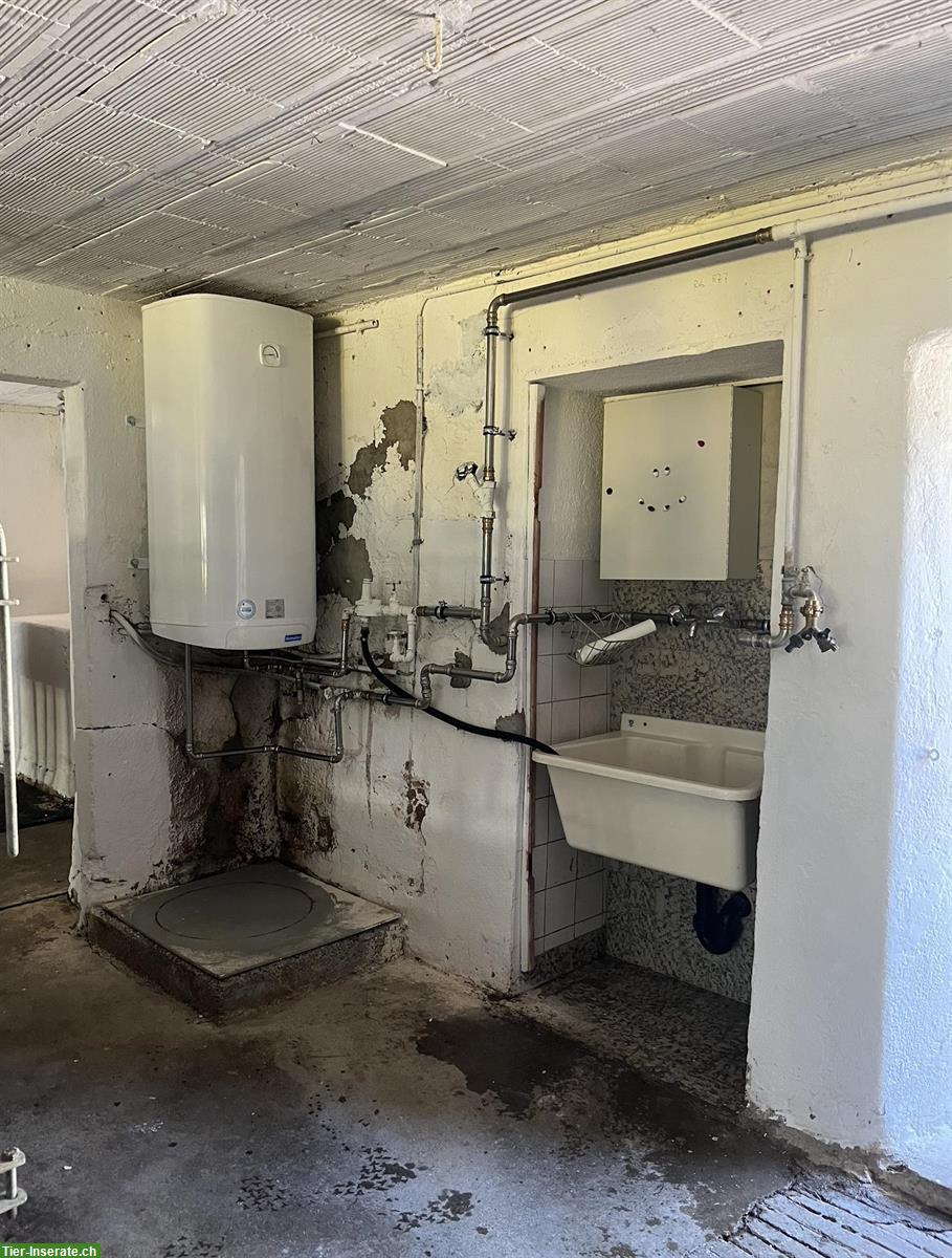 Bild 4: Bieten Stallplatz für Kleintiere auf Biohof