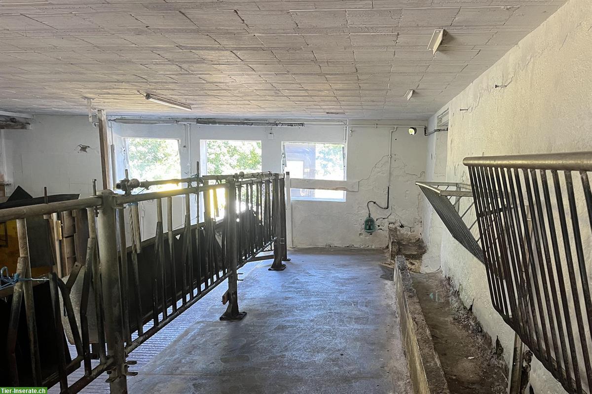 Bild 5: Bieten Stallplatz für Kleintiere auf Biohof