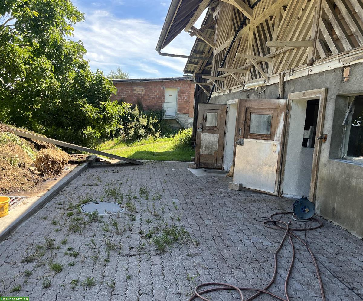 Bild 6: Bieten Stallplatz für Kleintiere auf Biohof