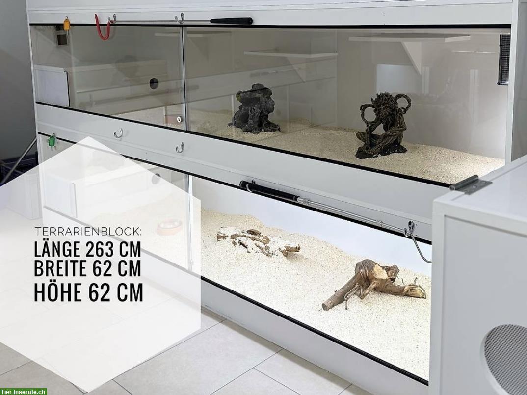 Forex Terrarien-Blöcke zu verkaufen