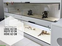 Forex Terrarien-Blöcke zu verkaufen