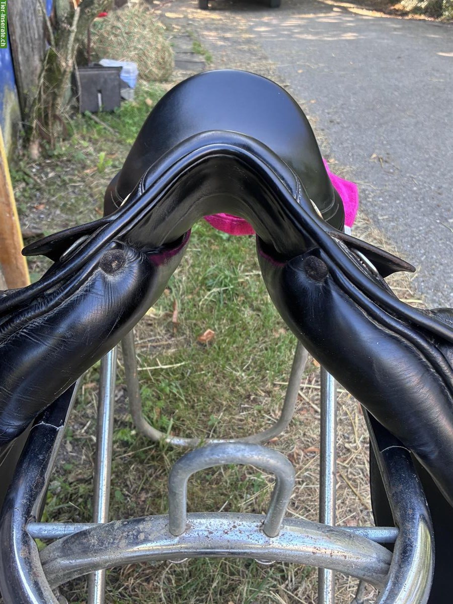 Bild 2: Prestige Dressursattel 16 Zoll zu verkaufen