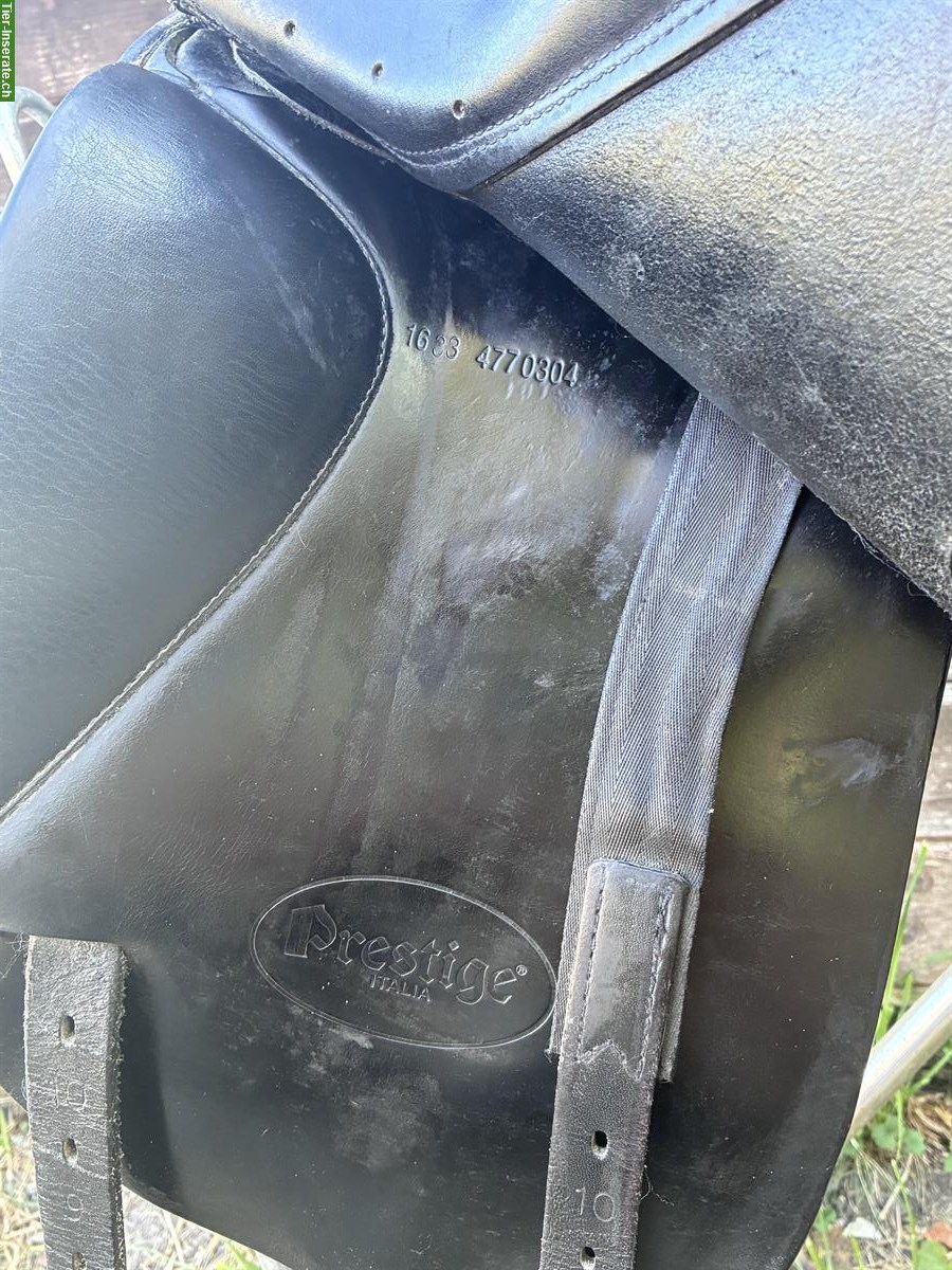 Bild 3: Prestige Dressursattel 16 Zoll zu verkaufen