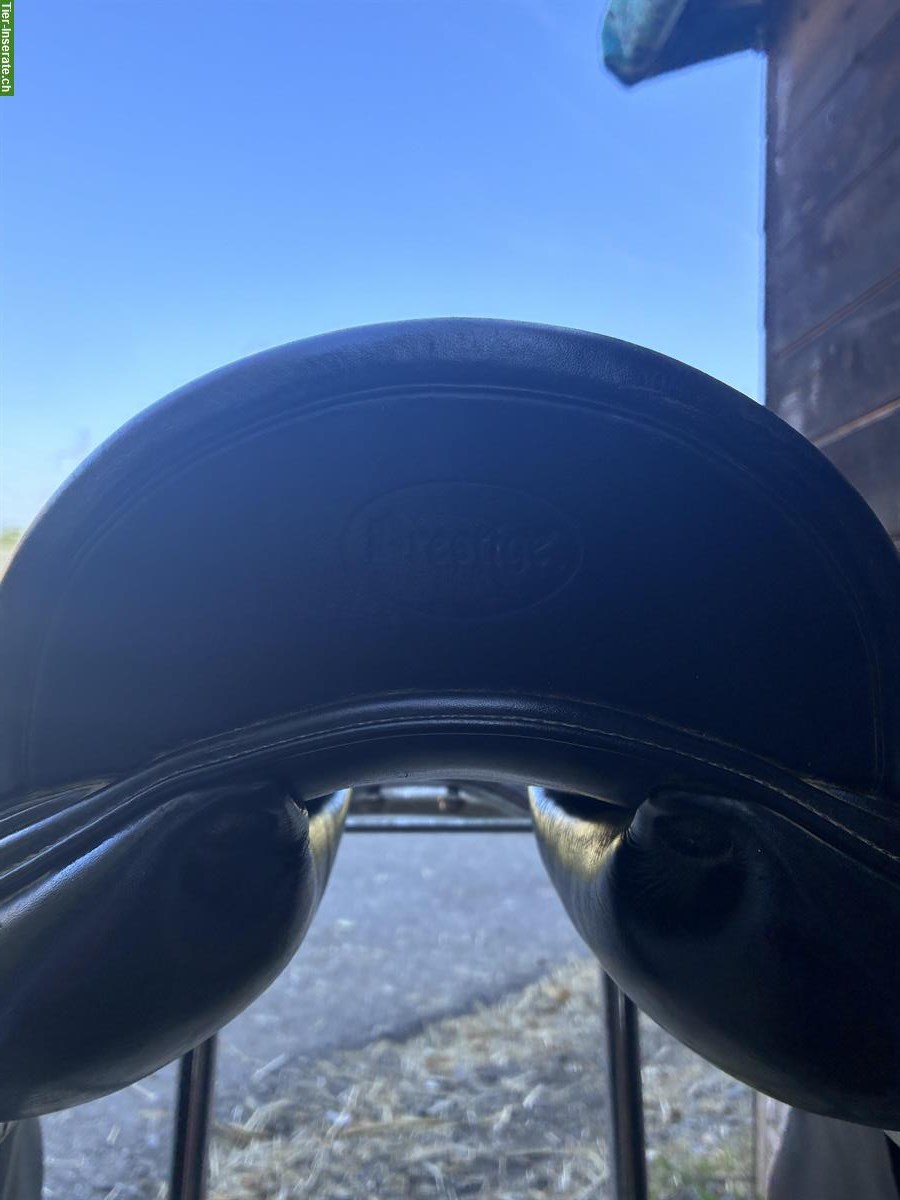 Bild 4: Prestige Dressursattel 16 Zoll zu verkaufen