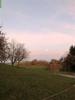 Auslaufbox mit Weide in Schlossrued AG