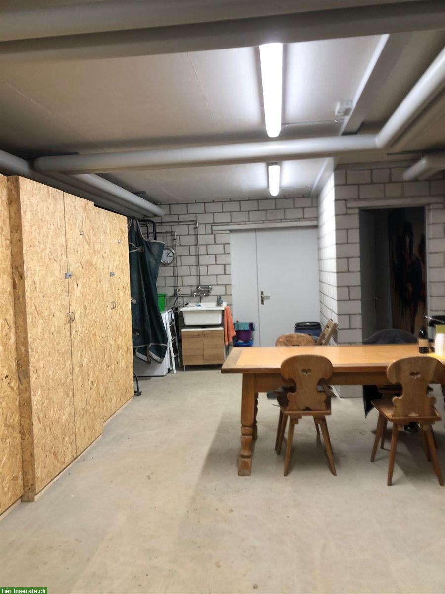 Bild 5: Auslaufbox mit Weide in Schlossrued AG