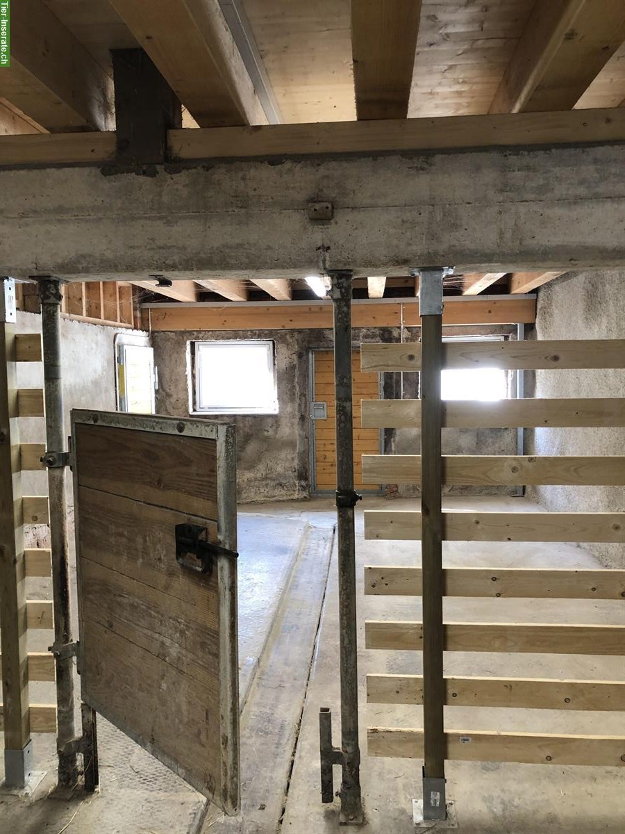 Bild 6: Auslaufbox mit Weide in Schlossrued AG