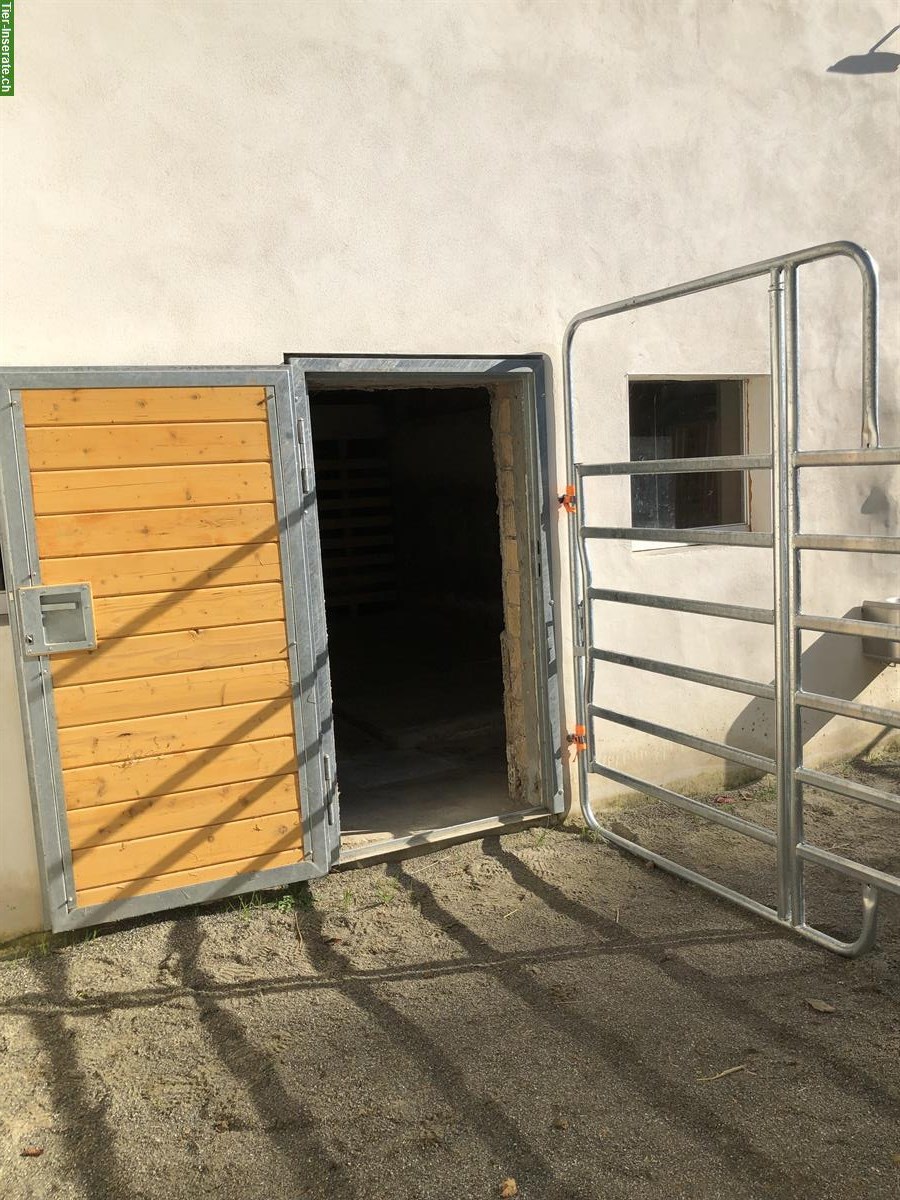 Bild 8: Auslaufbox mit Weide in Schlossrued AG