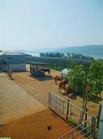 Freie Plätze im Aktiv Offenstall in 2575 Gerolfingen BE