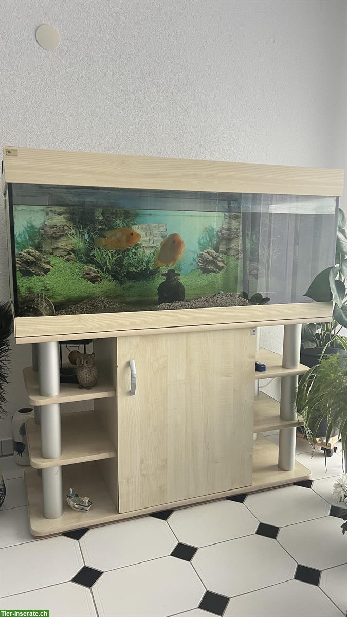 Aquarium Komplettset zu verkaufen
