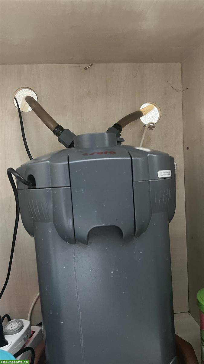 Bild 2: Aquarium Komplettset zu verkaufen