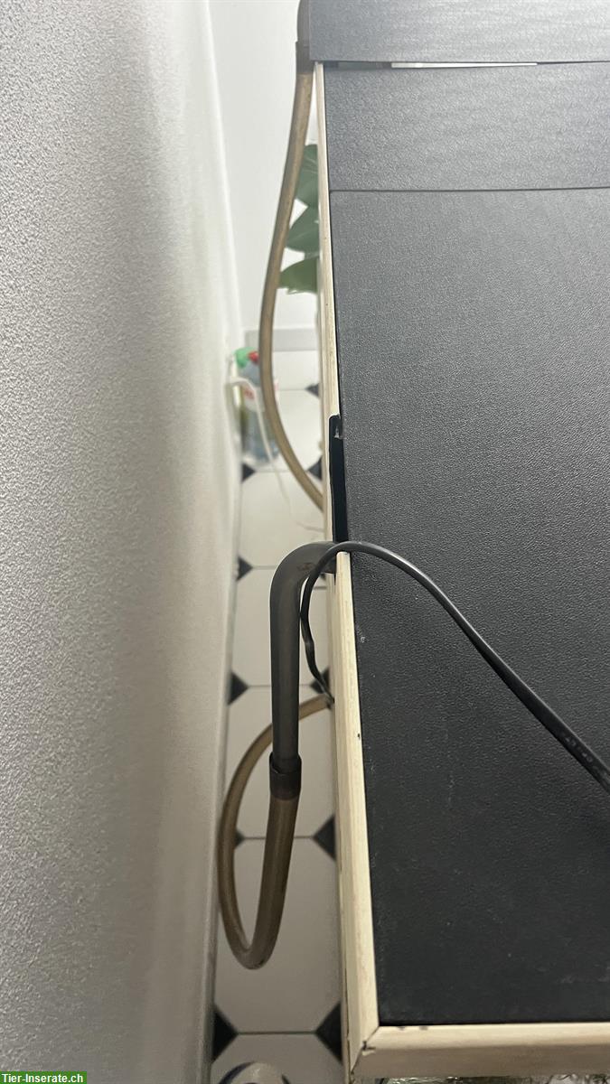 Bild 3: Aquarium Komplettset zu verkaufen