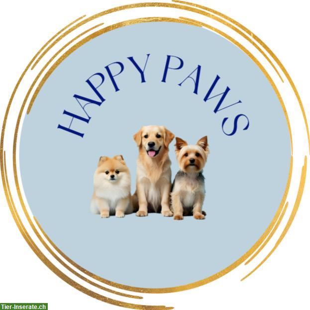 Bild 2: Neu in Rotkreuz: Hundesalon Happy Paws mit ❤️