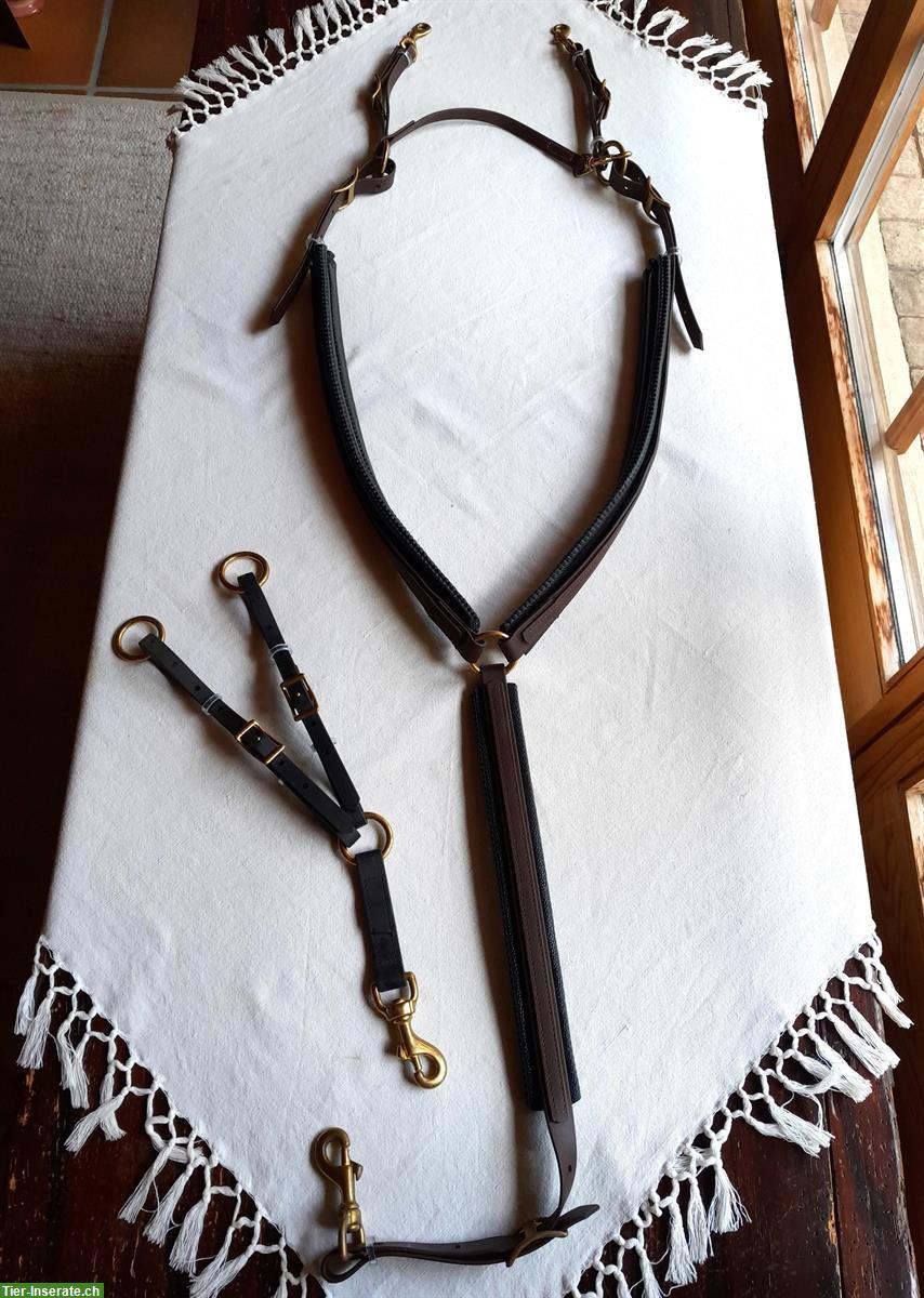 Bild 3: Schöner ZAUM aus BIOTHAN, komplett mit Vorgeschirr + Martingalgabel