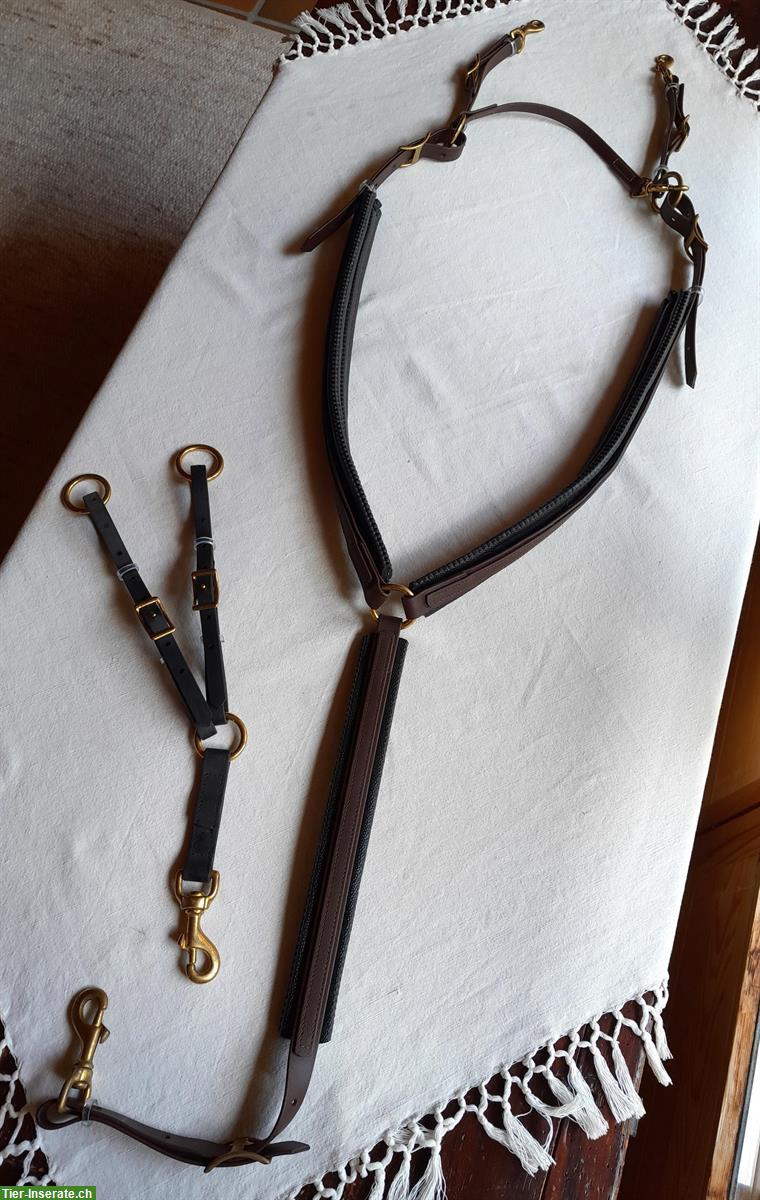 Bild 4: Schöner ZAUM aus BIOTHAN, komplett mit Vorgeschirr + Martingalgabel
