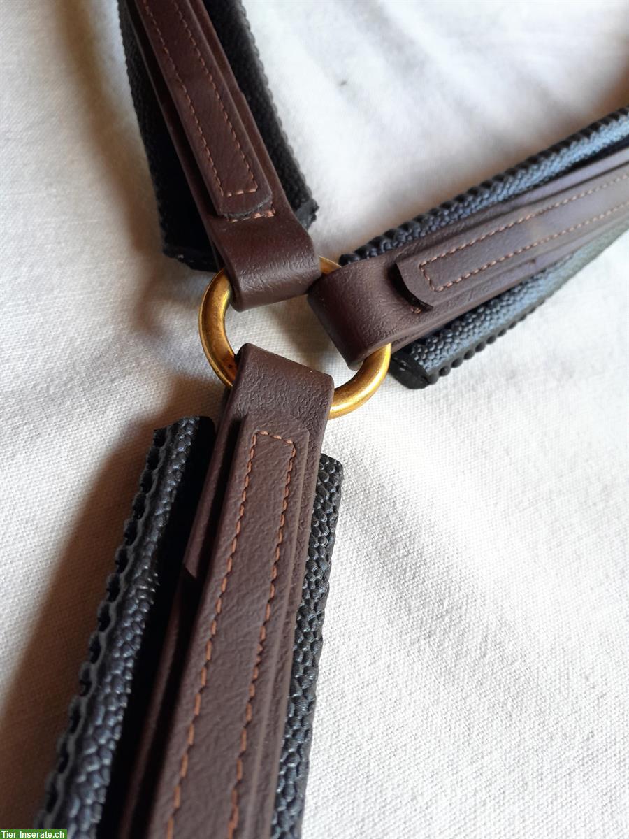 Bild 5: Schöner ZAUM aus BIOTHAN, komplett mit Vorgeschirr + Martingalgabel