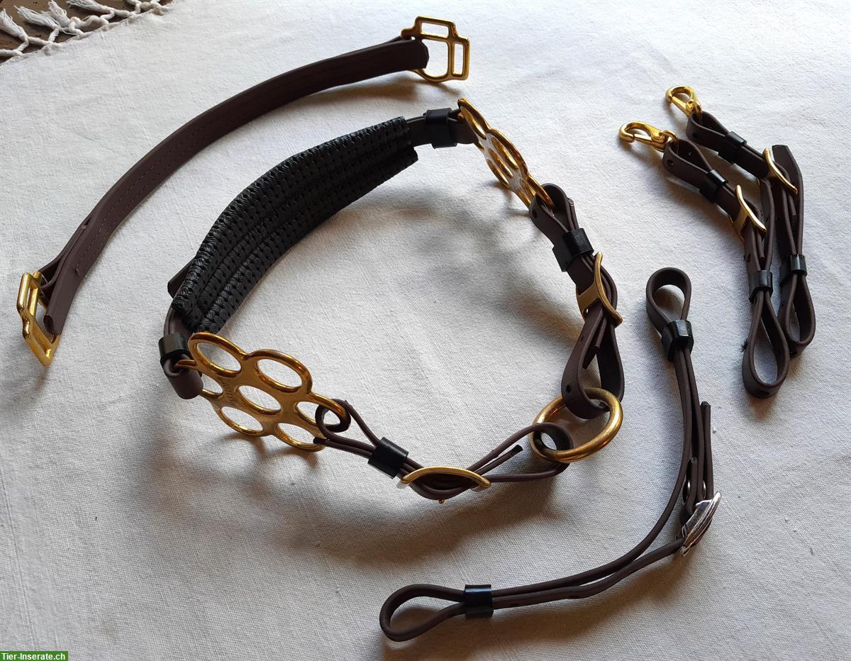 Bild 6: Schöner ZAUM aus BIOTHAN, komplett mit Vorgeschirr + Martingalgabel