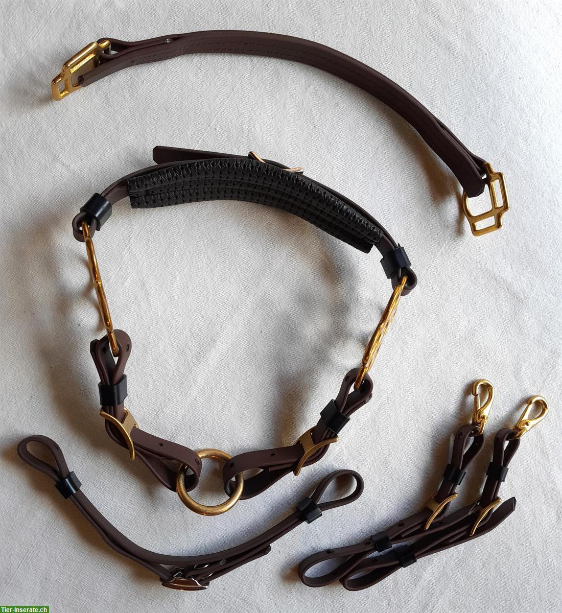Bild 7: Schöner ZAUM aus BIOTHAN, komplett mit Vorgeschirr + Martingalgabel