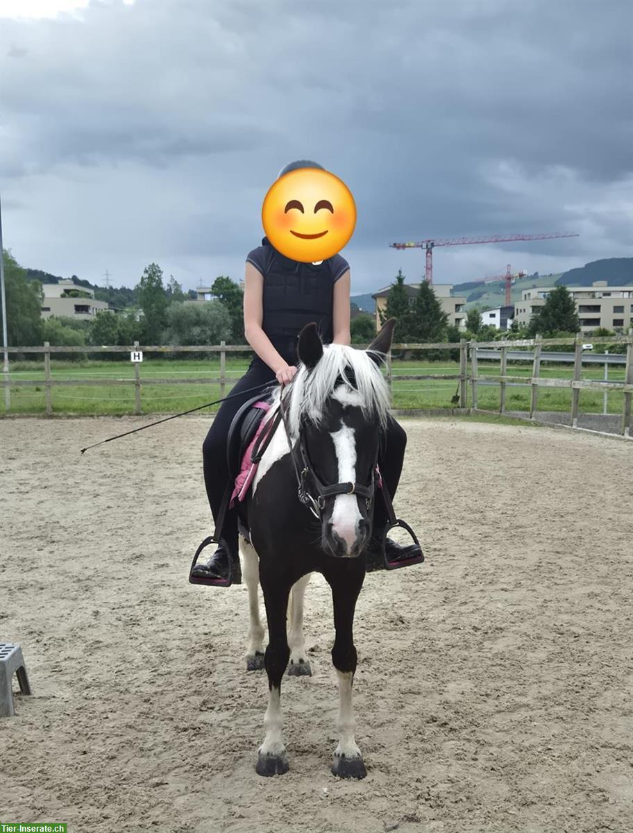 Reitbeteiligung gesucht in der Nähe 6026 Rain