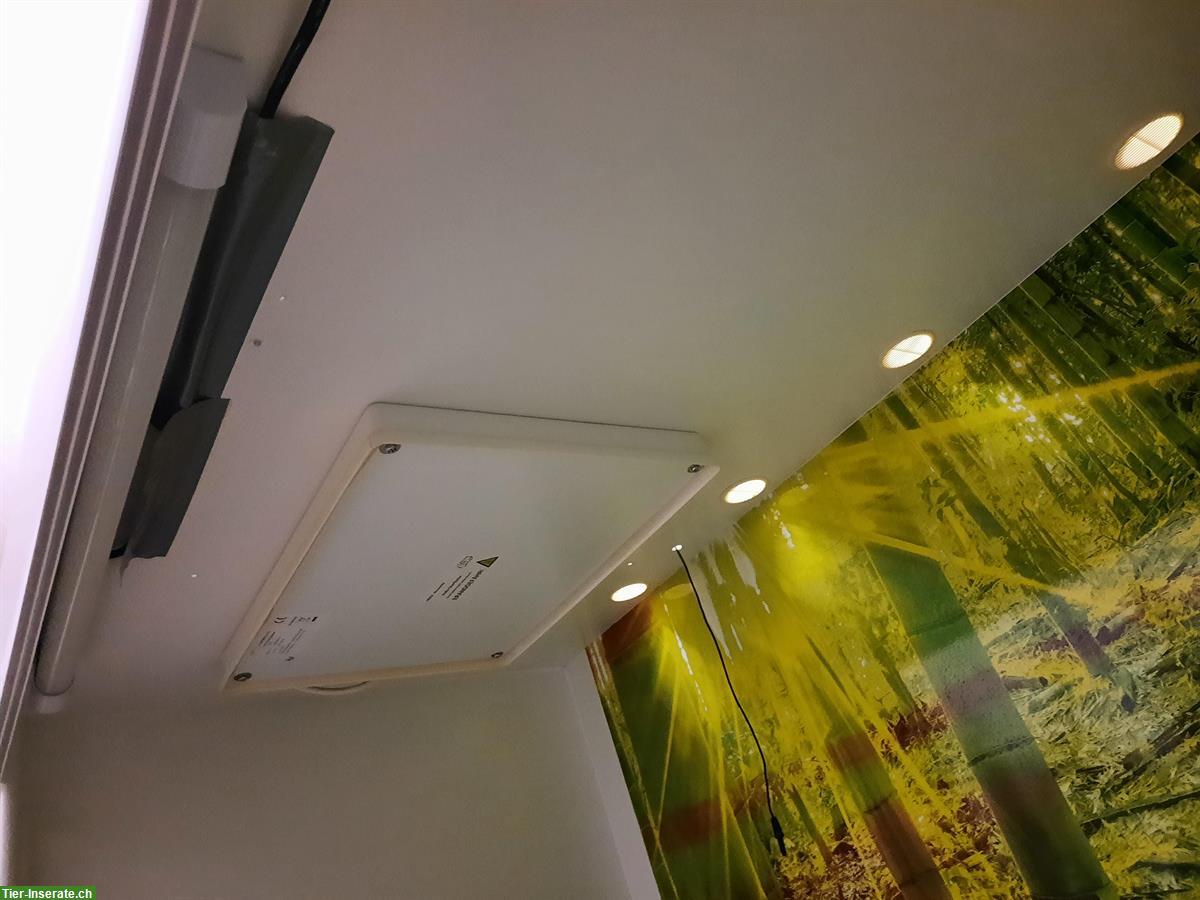 Bild 2: Lanzo Herp Terrarium inkl. Technik zu verkaufen