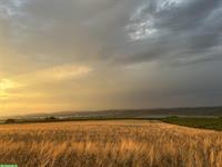 Stall für zwei Pferde gesucht, Umkreis Rüschlikon ZH