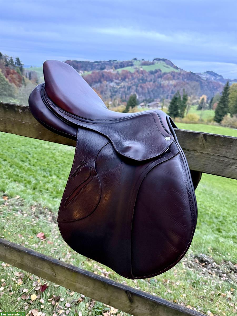 Antarès-Sattel, 17.5 Zoll zu verkaufen