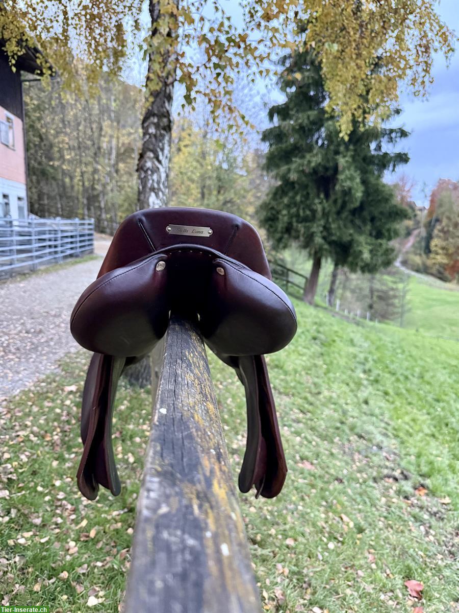 Bild 4: Antarès-Sattel, 17.5 Zoll zu verkaufen