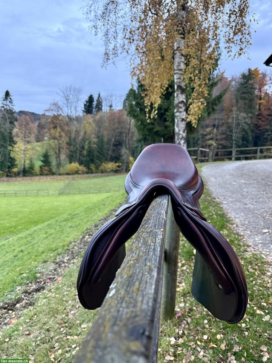 Bild 5: Antarès-Sattel, 17.5 Zoll zu verkaufen