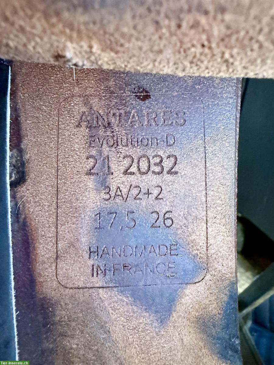 Bild 7: Antarès-Sattel, 17.5 Zoll zu verkaufen