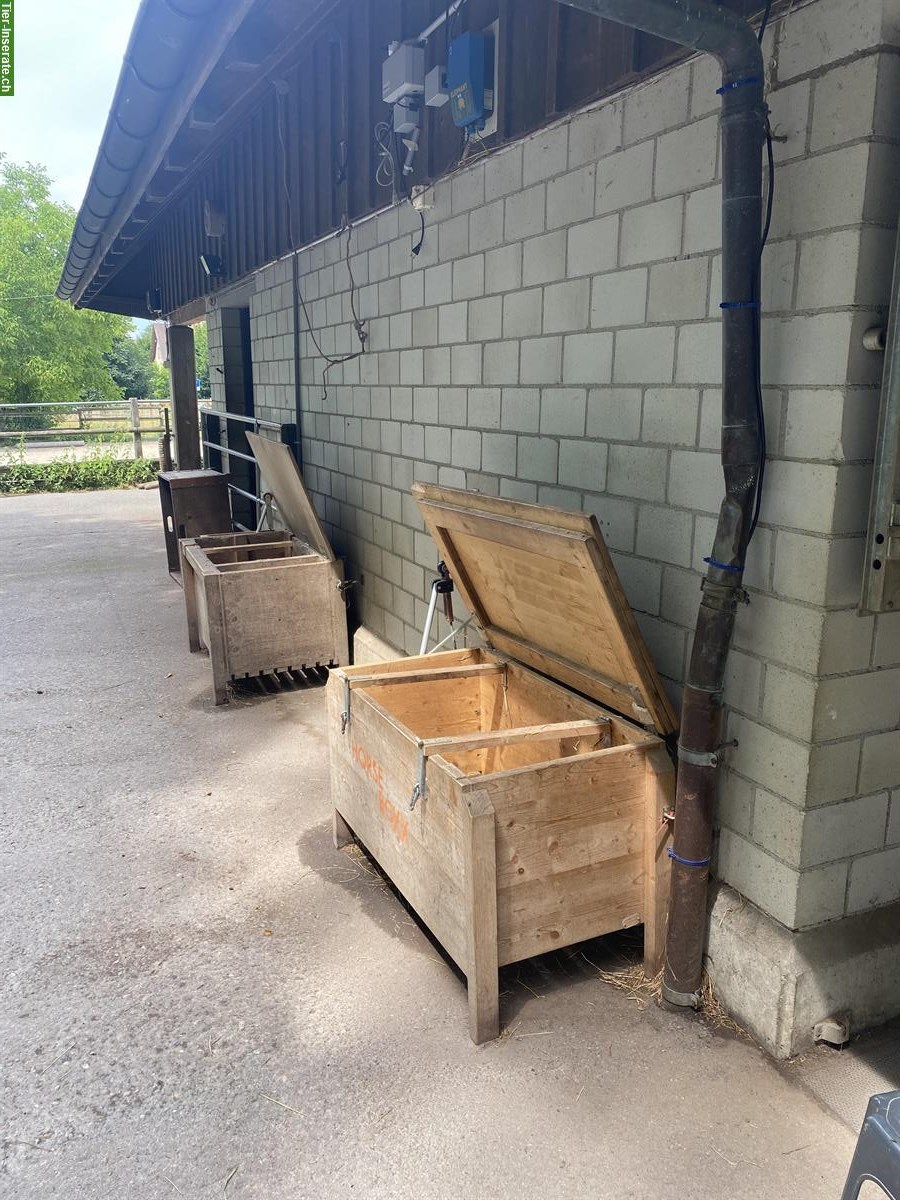 Bild 2: Offenstall für Kleinpferde nähe Winterthur/Frauenfeld