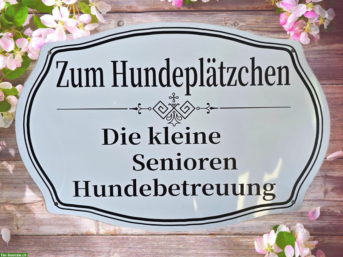 Zum Hundeplätzchen - Hundebetreuung für Seniorenhunde