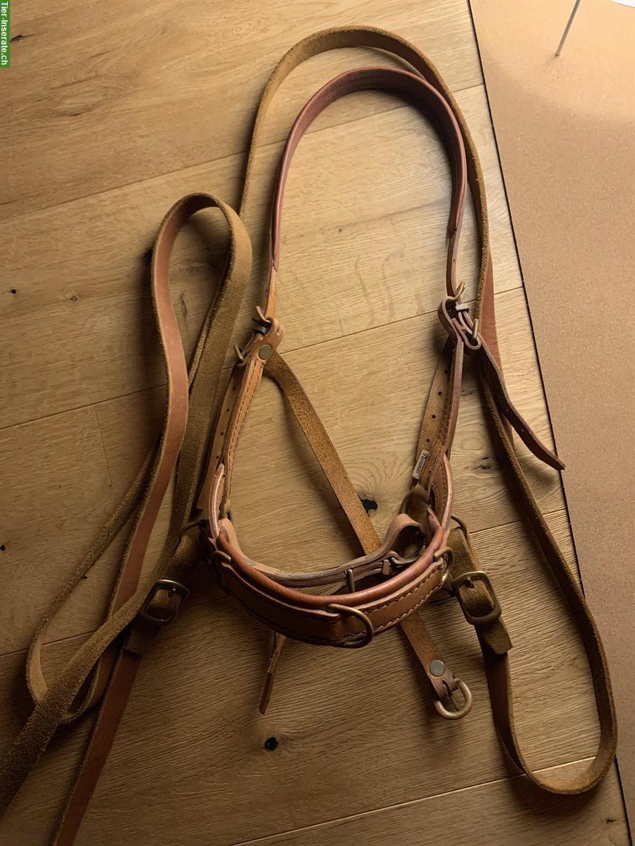 Balancio Balanced Horseman zu verkaufen