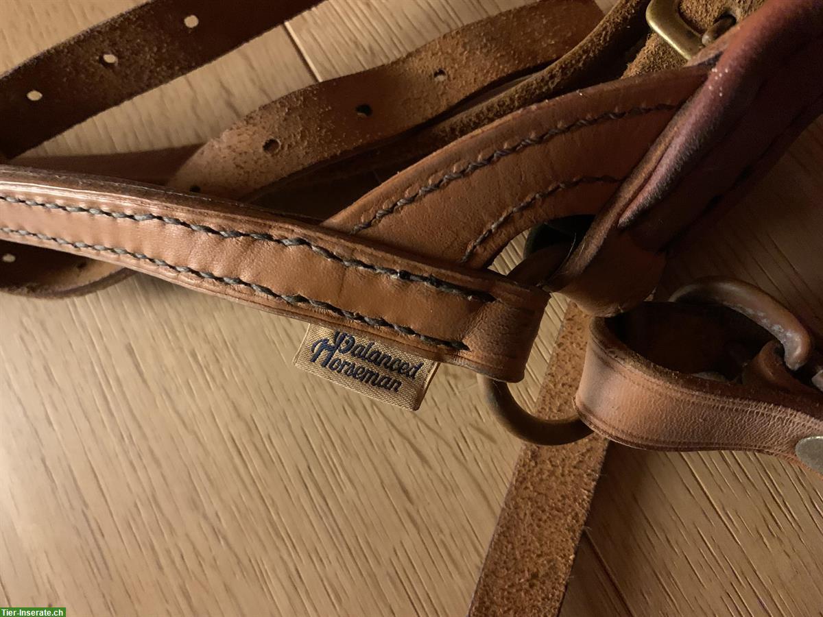 Bild 3: Balancio Balanced Horseman zu verkaufen